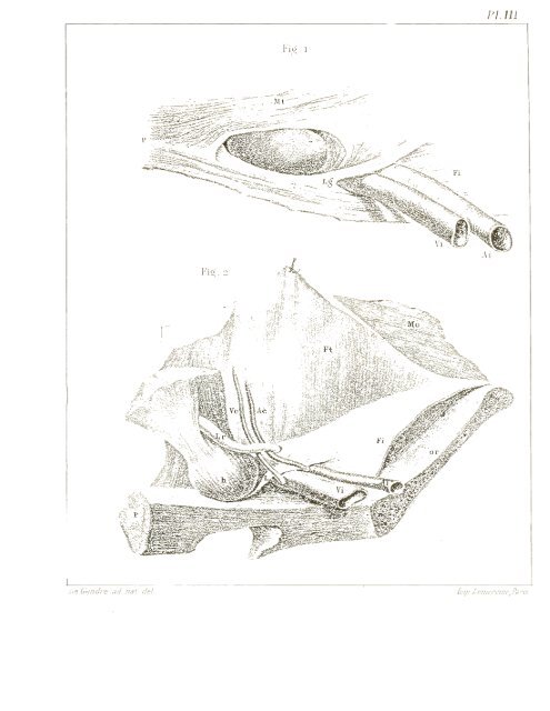 comptes rendus des séances et mémoires de la société de biologie ...