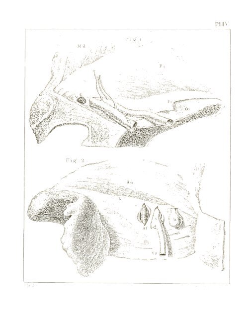 comptes rendus des séances et mémoires de la société de biologie ...