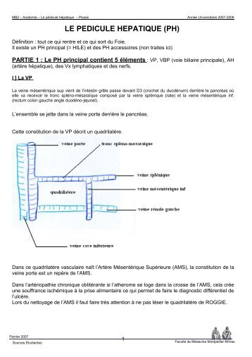 le pedicule hepatique - Faculté de médecine de Montpellier