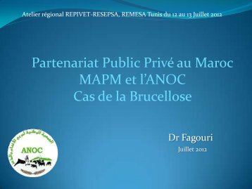 18. Partenariat Public-Privé au Maroc - remesa