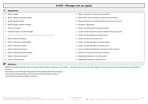 Fiche Rome D1402 Relation Commerciale Grands Pole Emploi