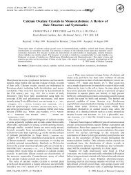 Calcium Oxalate Crystals in Monocotyledons: A ... - Annals of Botany