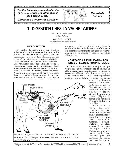1) DIGESTION CHEZ LA VACHE LAITIERE - Babcock Institute