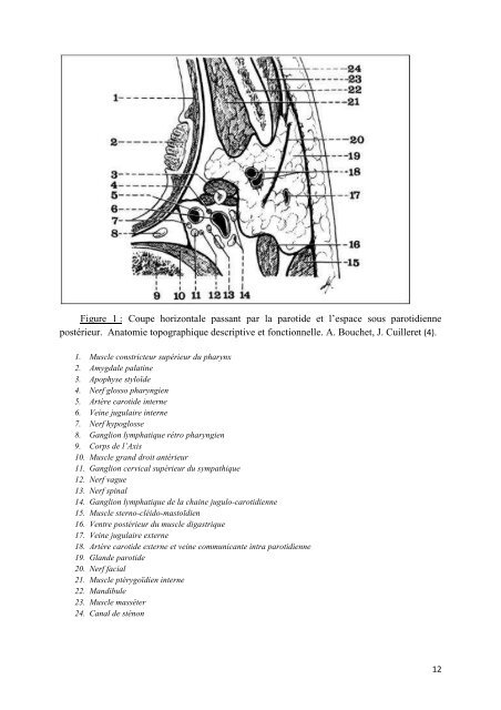 Les atteintes du nerf facial dans la chirurgie parotidienne