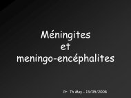 Méningites et meningo-encéphalites - Antibiolor