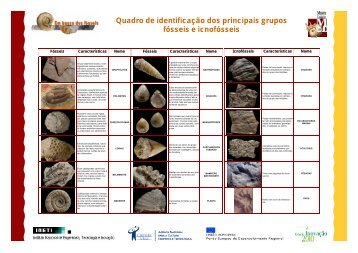 Quadro de identificação dos principais grupos fósseis e ... - LNEG