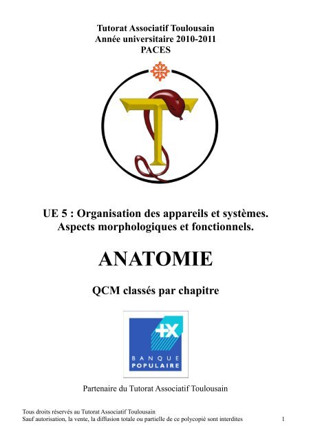 Poly Anatomie 10-11.pdf - Tutorat Associatif Toulousain