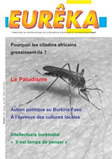 EURÊKA N°58:Pourquoi les citadins africains grossissent-ils