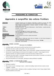 Apprendre à surgreffer des arbres fruitiers - Chambre d'agriculture