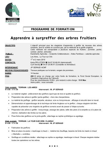 Apprendre à surgreffer des arbres fruitiers - Chambre d'agriculture