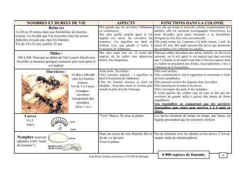 Vie des fourmis au CE1 J-P Geslin.pdf - Free