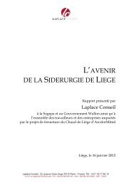 Rapport Laplace Conseil Cockerill - Rtbf