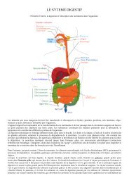 LE SYTEME DIGESTIF - l'Or du Tarot