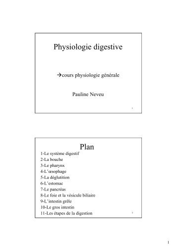 Physiologie digestive Plan - Pauline Neveu