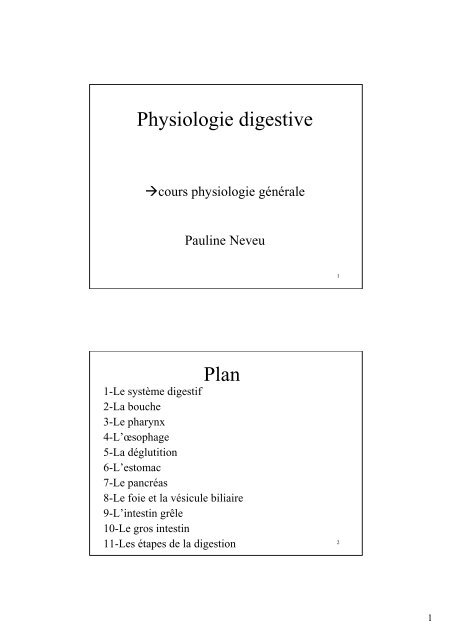 Physiologie digestive Plan - Pauline Neveu