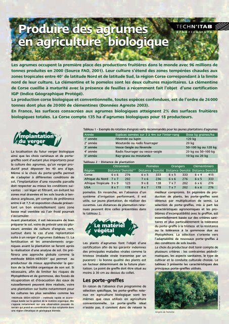 Produire des agrumes en agriculture biologique Produire des ... - Itab