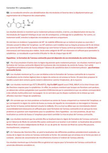 Correction TD « cytosquelette » Q1 : Le nocodazole entraîne une ...