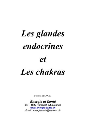 Les glandes endocrines et Les chakras - Active Succès