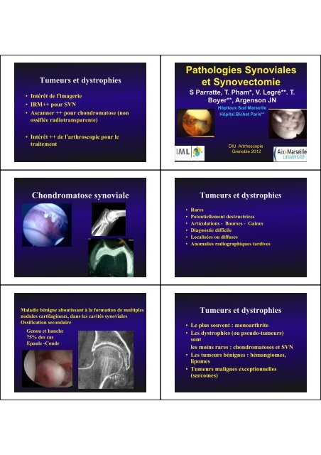 Pathologies Synoviales et Synovectomie