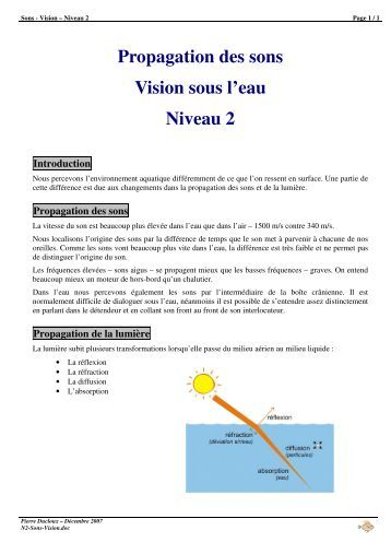 Plongée plaisir Mémento niveau 4 Guide de palanquée Fiches de révision
