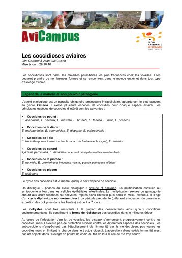 Voir la fiche - Avicampus