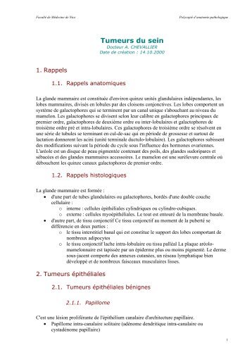 1. Rappels - Lame virtuelle d'anatomie pathologique