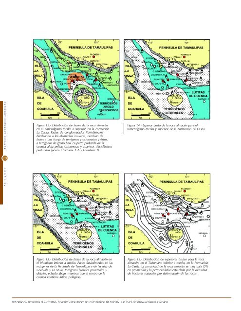 RETICULA NUEVA - Servicio Geológico Mexicano