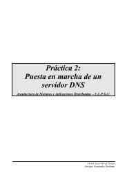 Práctica 2: Puesta en marcha de un servidor DNS - David Horat