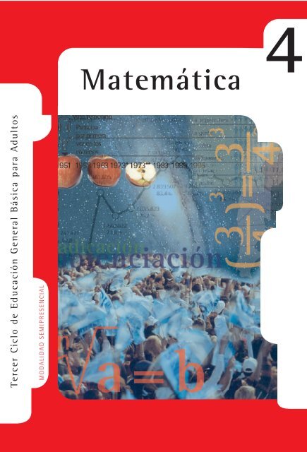 Matemática Nivel IV - Región Educativa 11