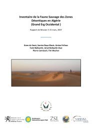 Inventaire de la Faune Sauvage des Zones Désertiques en Algérie ...