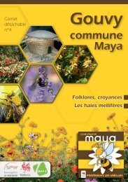 commune Maya - Gouvy