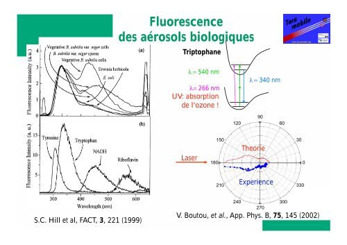 Filamentation d'impulsions laser ultrabrèves : physique et applications