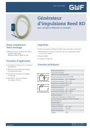 Générateur d'impulsions Reed RD - GWF Messsysteme AG