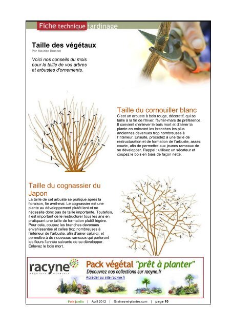 Magazine Petit Jardin - Graines et plantes