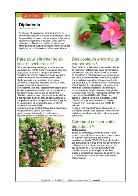 Magazine Petit Jardin - Graines et plantes