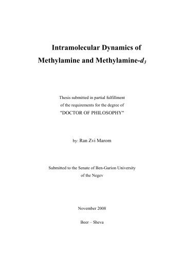 Intramolecular Dynamics of Methylamine and Methylamine-d3