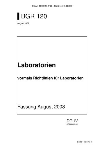 Richtlinien für Laboratorien BGR 120