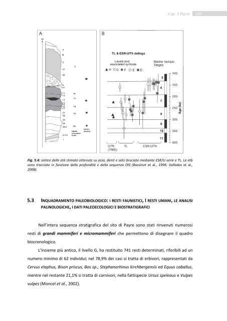 Università degli Studi di Ferrara