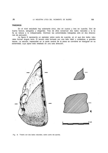 La industria lítica del yacimiento de Budiño (Pontevedra ... - Aranzadi