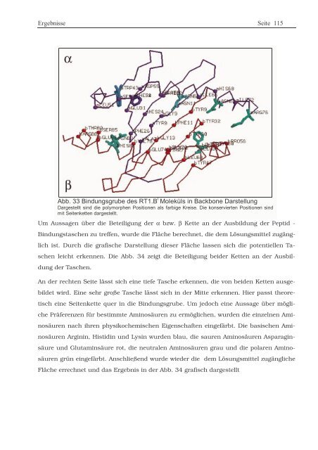 Protein ? Disassembly im Verlauf der endosomalen Prozessierung