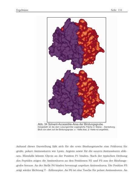 Protein ? Disassembly im Verlauf der endosomalen Prozessierung