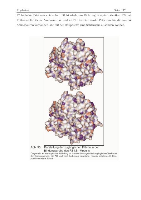 Protein ? Disassembly im Verlauf der endosomalen Prozessierung