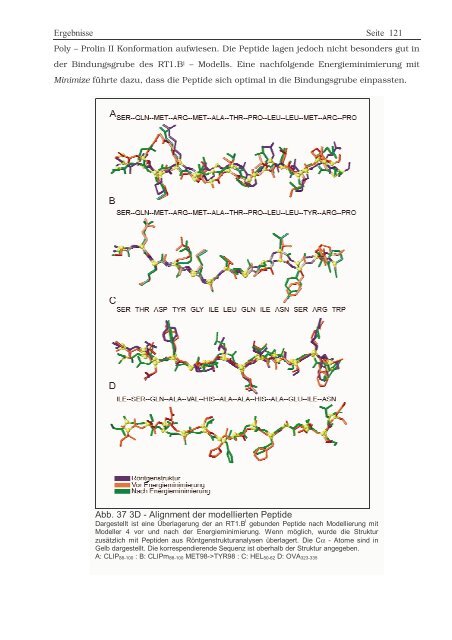 Protein ? Disassembly im Verlauf der endosomalen Prozessierung