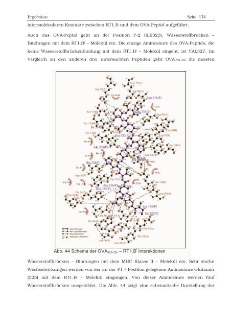 Protein ? Disassembly im Verlauf der endosomalen Prozessierung