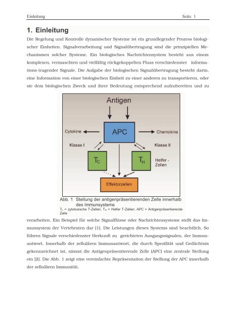 Protein ? Disassembly im Verlauf der endosomalen Prozessierung