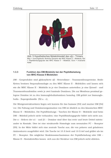 Protein ? Disassembly im Verlauf der endosomalen Prozessierung