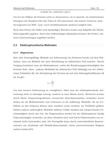 Protein ? Disassembly im Verlauf der endosomalen Prozessierung