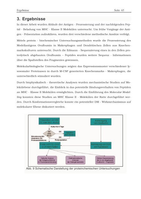 Protein ? Disassembly im Verlauf der endosomalen Prozessierung