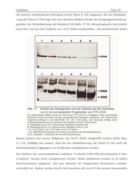 Protein ? Disassembly im Verlauf der endosomalen Prozessierung