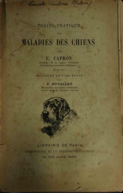 maladies des chiens